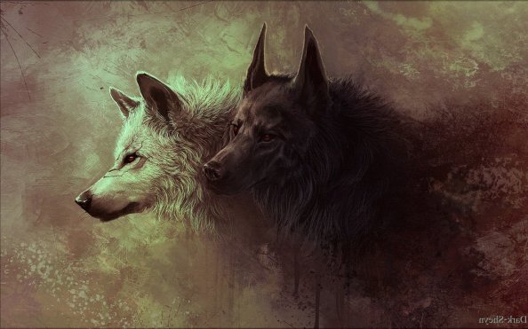 Wolf Art