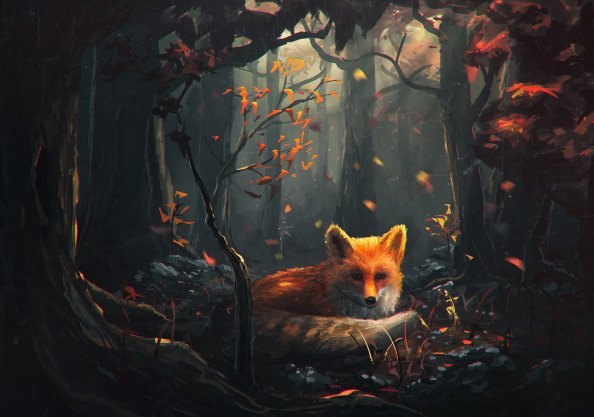 Fox Art
