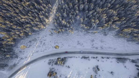 Birds Eye Aerial View Of Road Trees Winter 4k