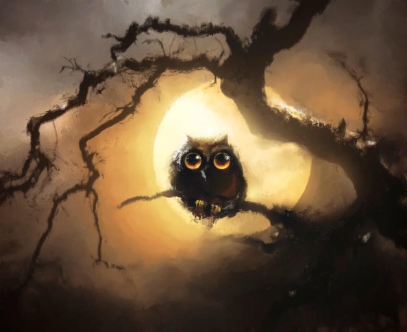 Owl And Moon