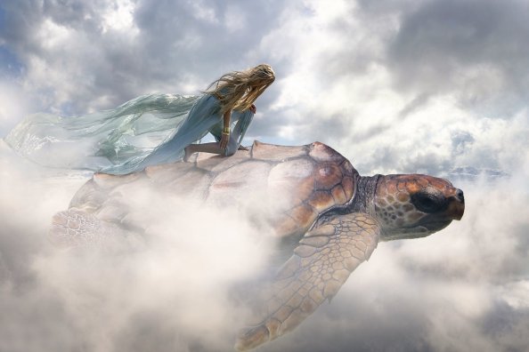 Fantasy Art Turtle