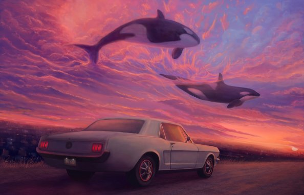 Place Where Whales Fly