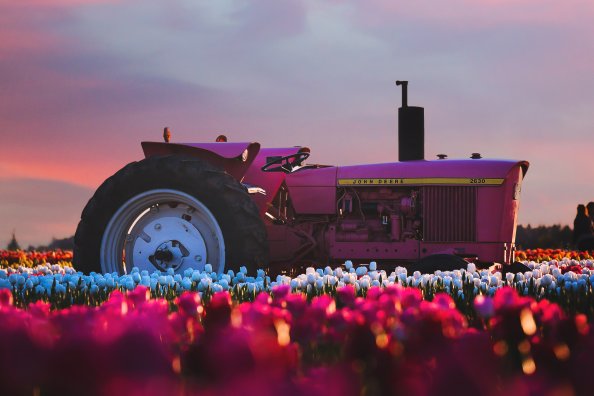 John Deere Tractor In Flower Farm 4k