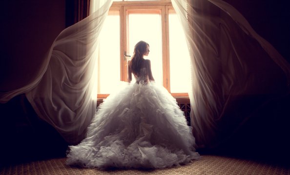 Wedding Dress Bride