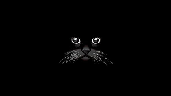 Cat Vector