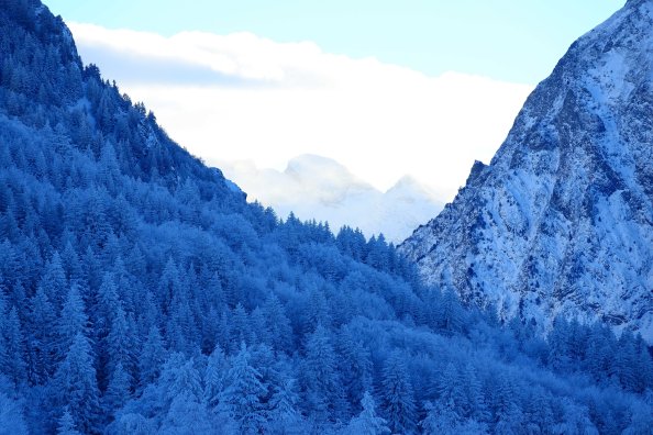 Mountains Snow Fir Forest Winter