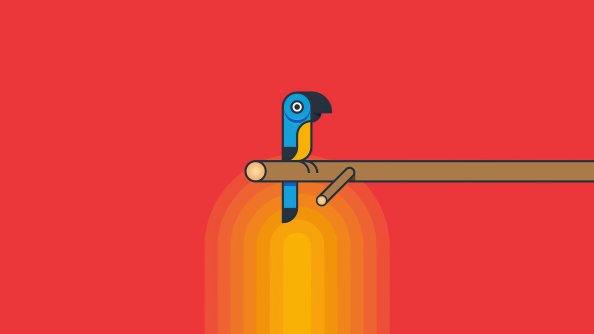 Parrot Minimalism 5k