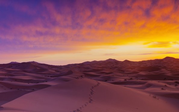 Sahara Desert Sand Dunes