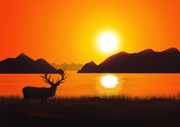 Reindeer Landscape Scenery