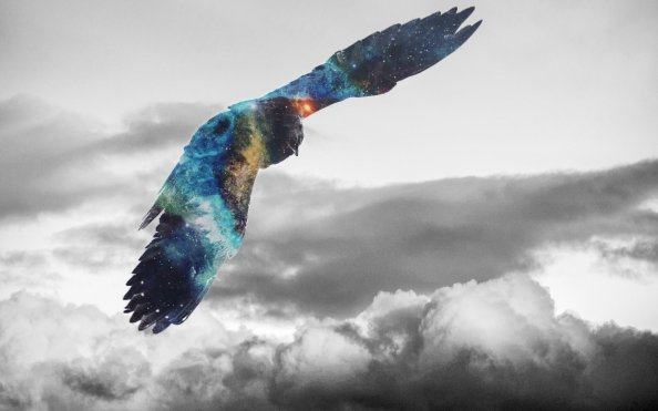 Golden Eagle Flying Galaxy Photoshop