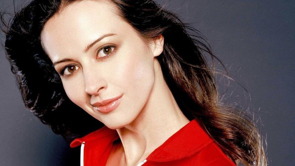 Amy Acker Actress