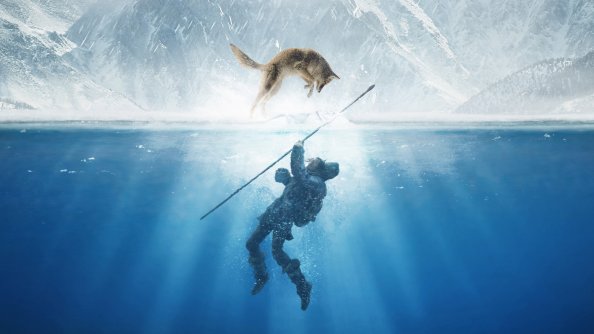 Alpha Movie 4k Poster