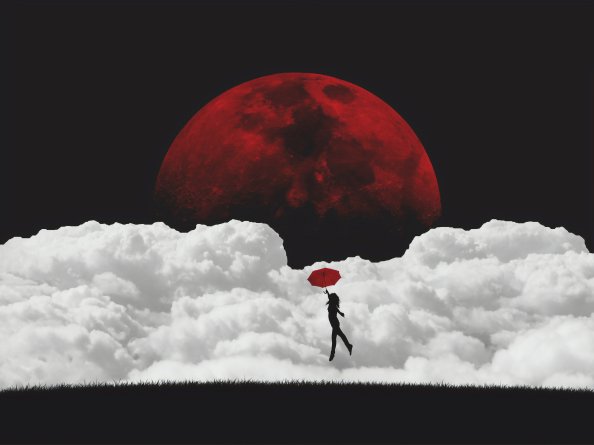 Fly Me To The Moon