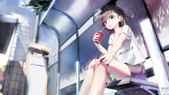 A Certain Scientific Railgun