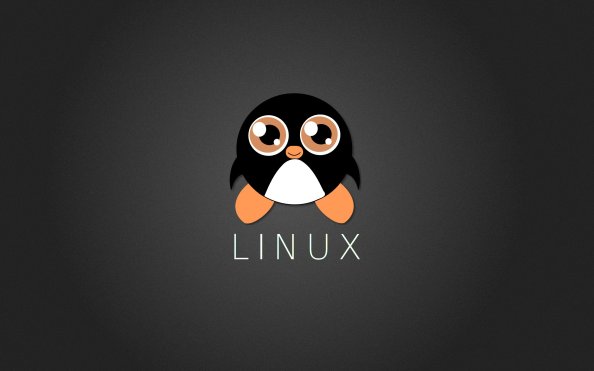 Peguin Linux