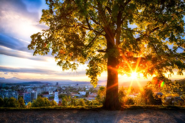 City View Sunrise Looking Out