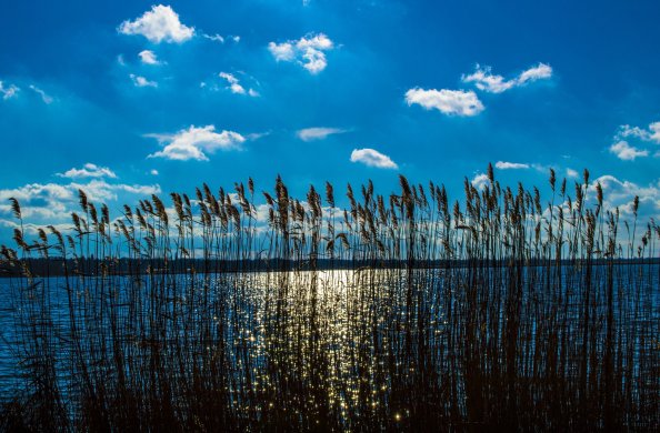 Crops Near Body Of Water Heaven Silent Outdoors 5k
