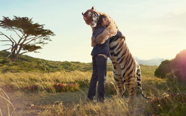 Tiger hug