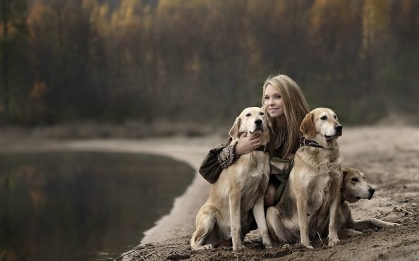 Girl With Labradors