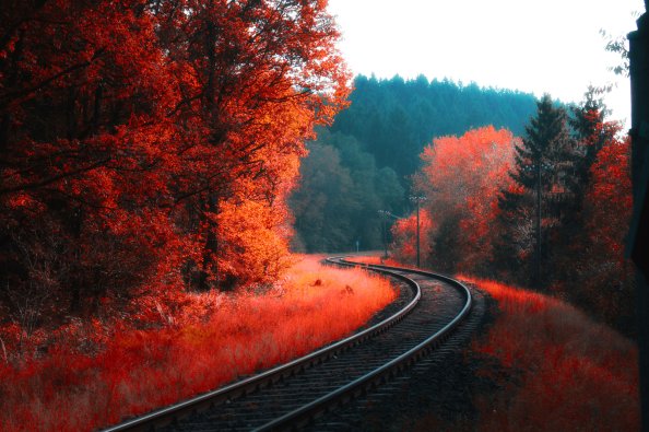 Railway Autumn Forest