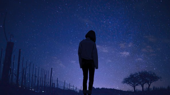 Starry Nights