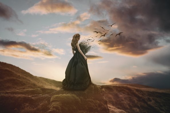 Freedom