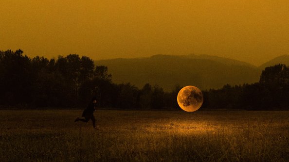 Catching The Moon 4k