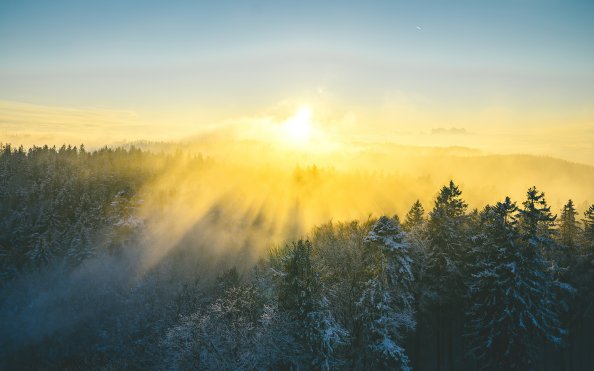 Beautiful Morning Sunrise 4k