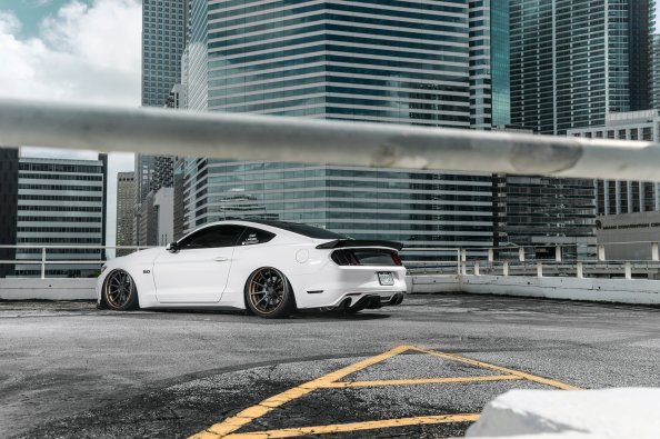 Mustang S 550