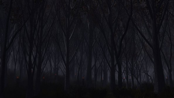 Forest Dark