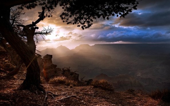 Landscape Background