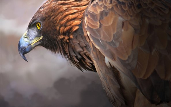 Eagle Digital Art 2