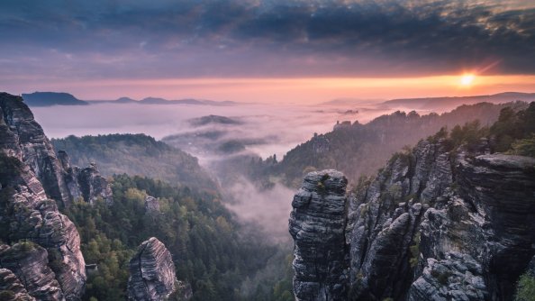 Morning Forest Mountains