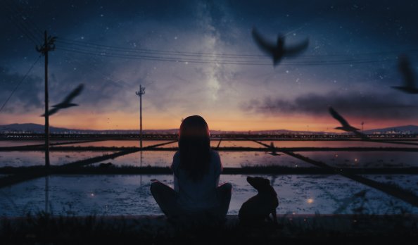 The Sunset And Solitary Flight Fly Together