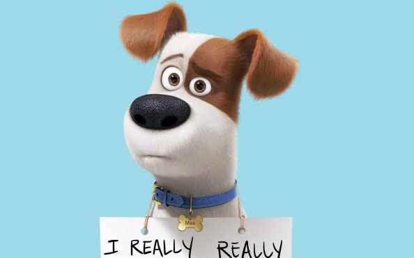 Max In The Secret Life Of Pets