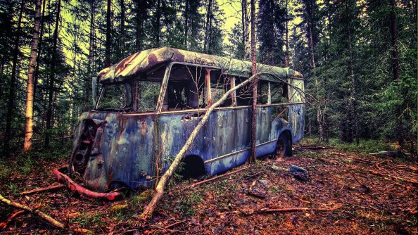 Old Vintage Bus In Forest