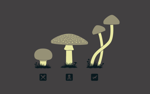 Mushroom Minimalism