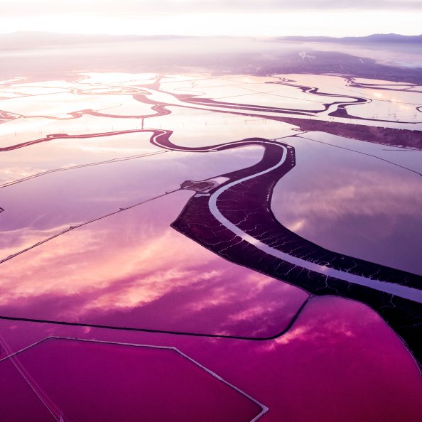 Fields Landscape Abstract