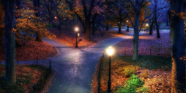 Park Evening Trees Fall