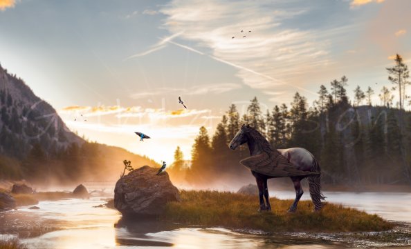 Horse Magical Mysterious 4k