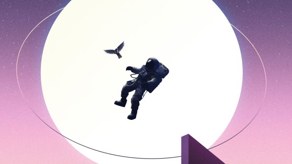No Gravity