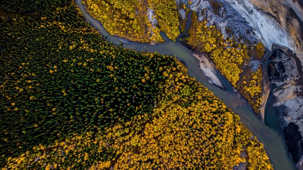 Aerial Photography Beauty In Nature Forest
