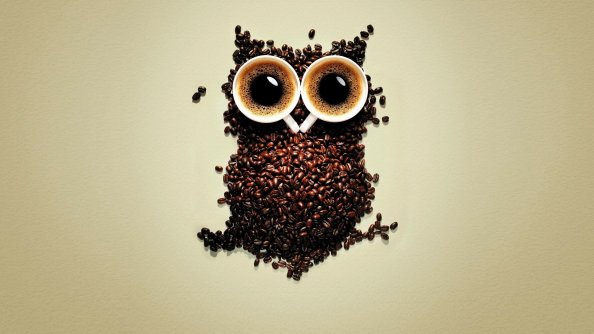 Coffee Beans Owl Art