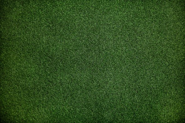 Grass Background