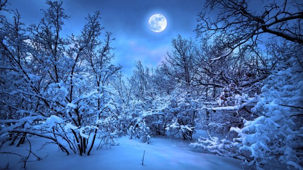 Winter Snow Nature 4k