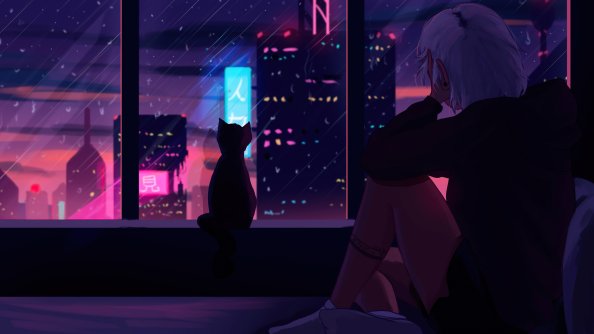 Cat And Me