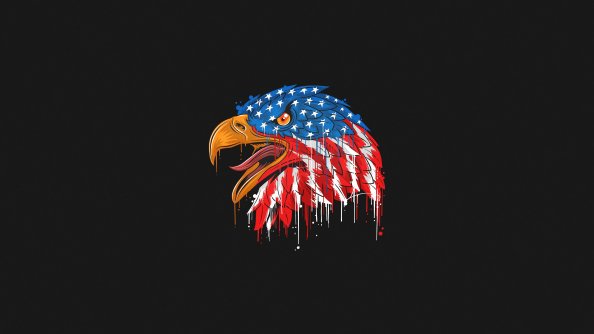 American Flag Eagle Minimal 4k