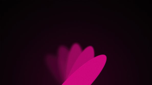 Flower Minimal Dark Blur