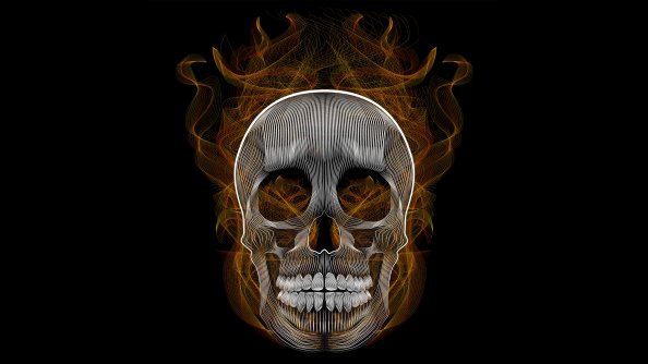 Blend Skull Vector Illustration