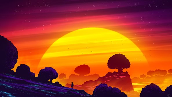 Nature In All Angles 4k